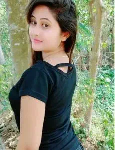 Sankarapuram call girls