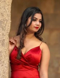 call girl service in Sankarapuram